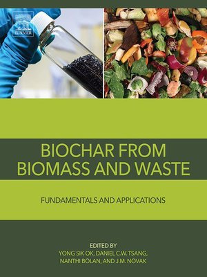 cover image of Biochar from Biomass and Waste